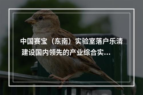 中国赛宝（东南）实验室落户乐清 建设国内领先的产业综合实验室
